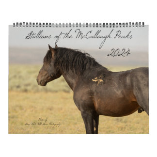 Stallions of the McCullough Peaks Calendar