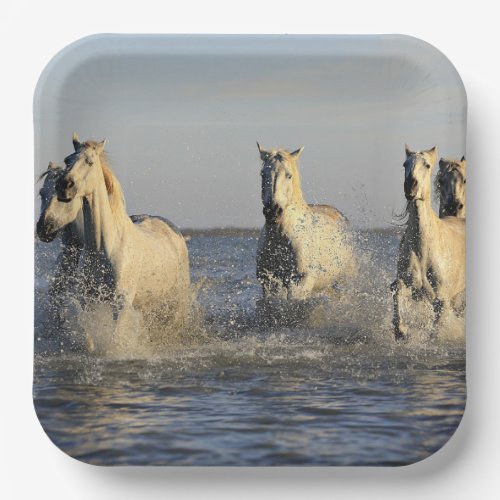 Stallions Running Through The Waters Paper Plates