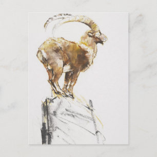 Stambecco d'Oro 2005 Postcard