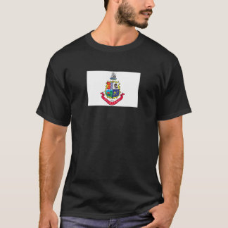 Stamford Connecticut Flag T-Shirt