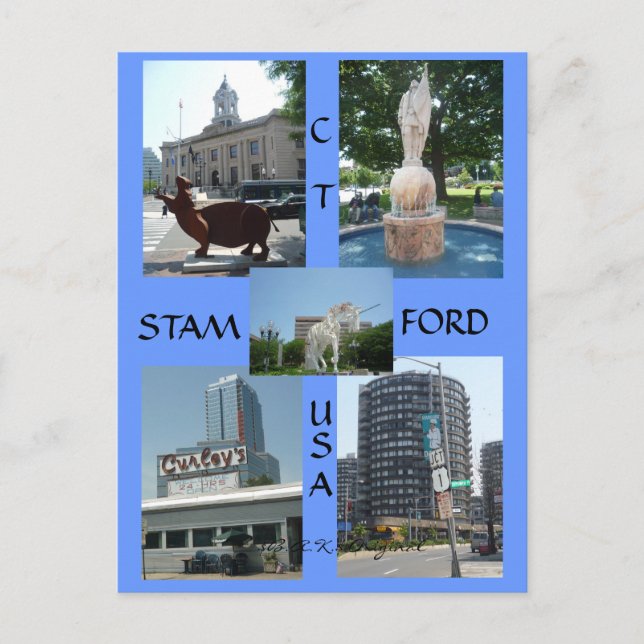 Stamford Ct Downtown Center Postcard (Front)