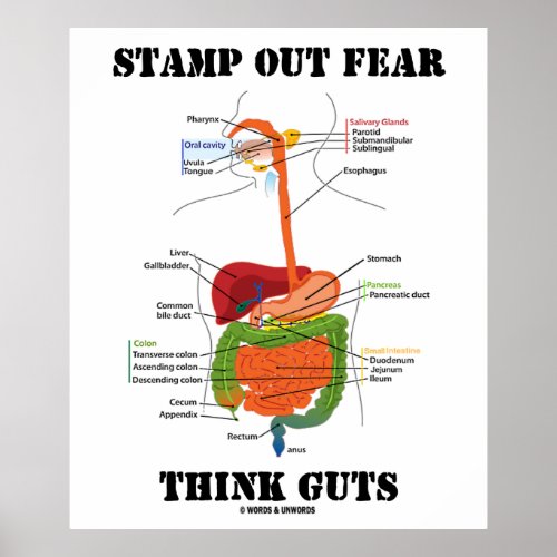 Stamp Out Fear Think Guts Digestive System Humor Poster