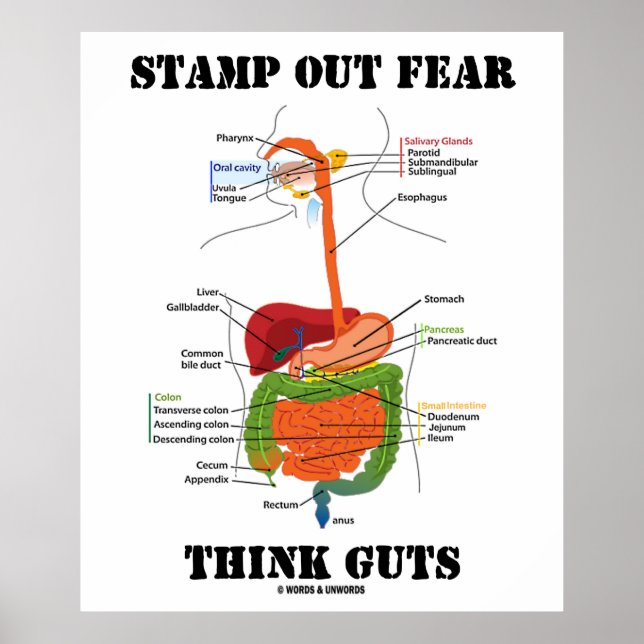 Stamp Out Fear Think Guts (Digestive System Humor) Poster (Front)