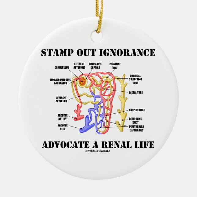 Stamp Out Ignorance Advocate A Renal Life Nephron Ceramic Ornament (Front)