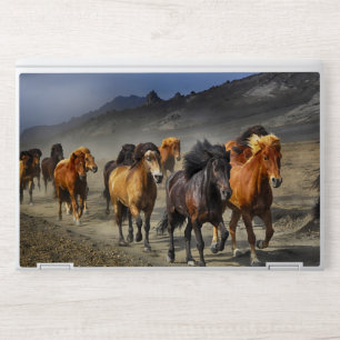 Stampede HP Laptop Skin
