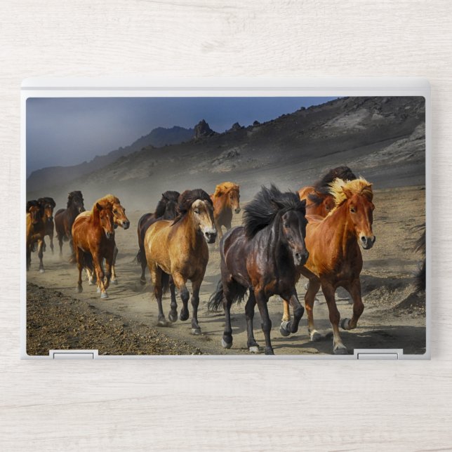 Stampede HP Laptop Skin (Front)