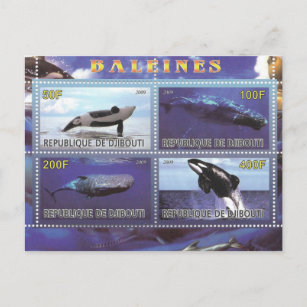 stamps whales dolphins postcard