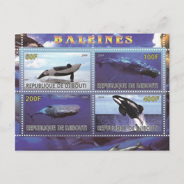 stamps whales dolphins postcard (Front)
