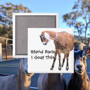 Stand Back, I Goat This Magnet