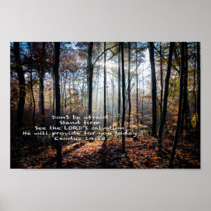 Stand Firm -- Poster