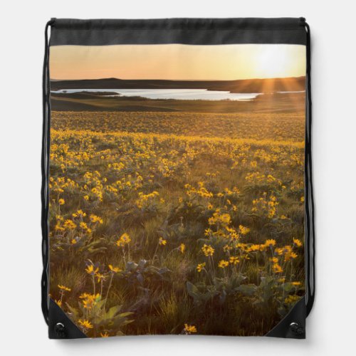 Stand Of Arrowleaf Balsamroot Wildflowers Drawstring Bag