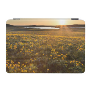 Stand Of Arrowleaf Balsamroot Wildflowers iPad Mini Cover