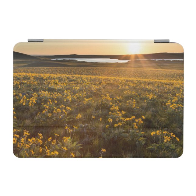 Stand Of Arrowleaf Balsamroot Wildflowers iPad Mini Cover (Horizontal)