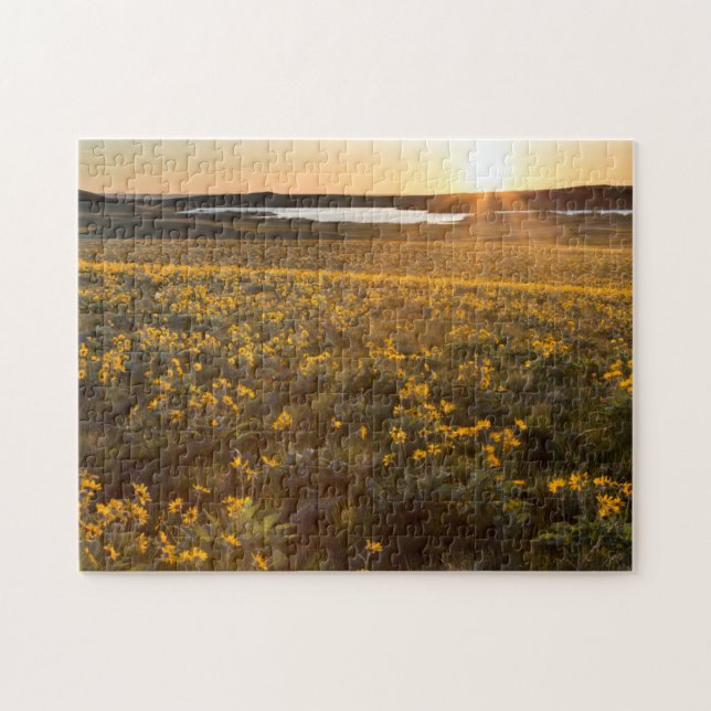 Stand Of Arrowleaf Balsamroot Wildflowers Jigsaw Puzzle (Horizontal)
