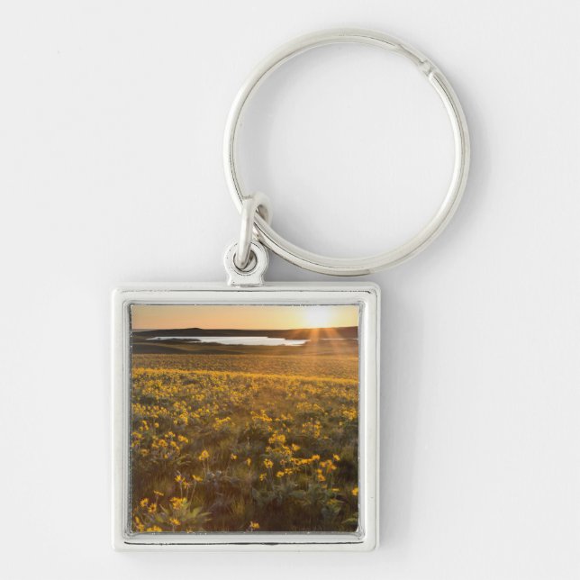 Stand Of Arrowleaf Balsamroot Wildflowers Keychain (Front)