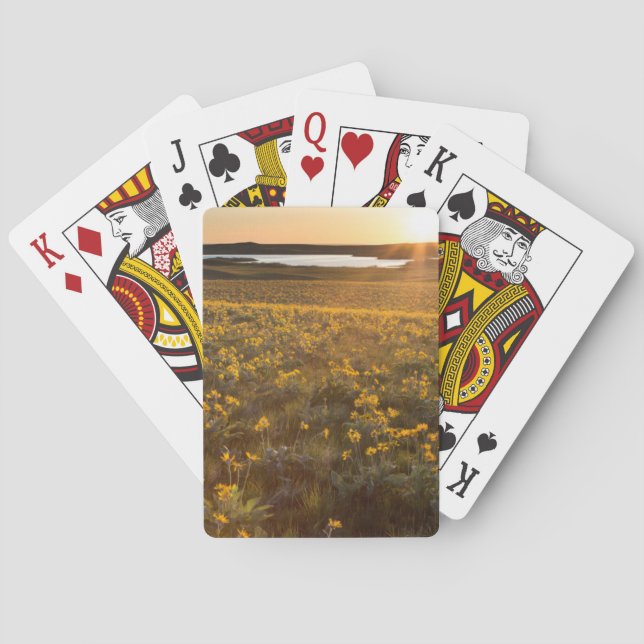 Stand Of Arrowleaf Balsamroot Wildflowers Poker Cards (Back)