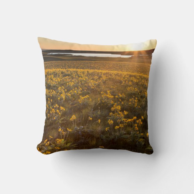 Stand Of Arrowleaf Balsamroot Wildflowers Throw Pillow (Front)