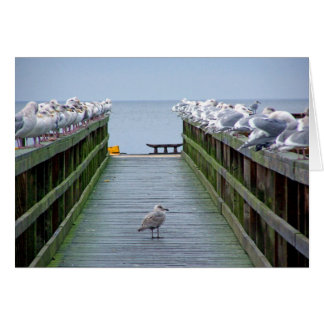 Stand Out in the Crowd Cards
