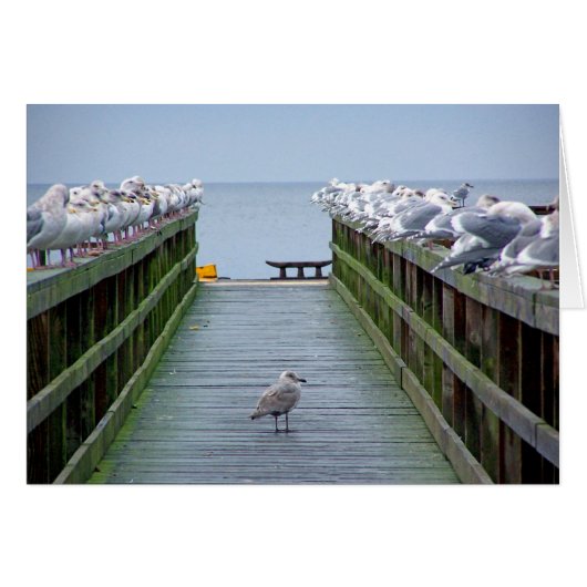 Stand Out in the Crowd Cards (Front Horizontal)