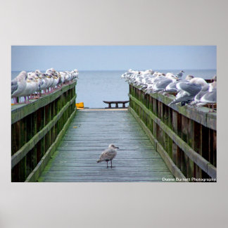 Stand Out in the Crowd Poster