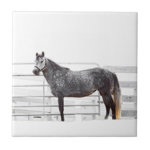 Stand Proud Ceramic Tile