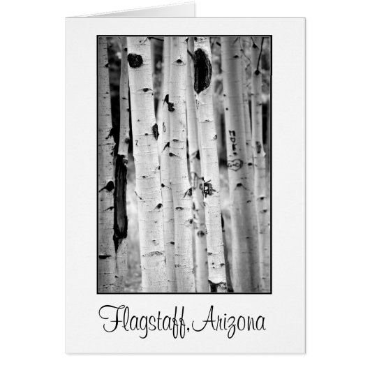 Stand tall Aspen's Flagstaff Cards (Front)