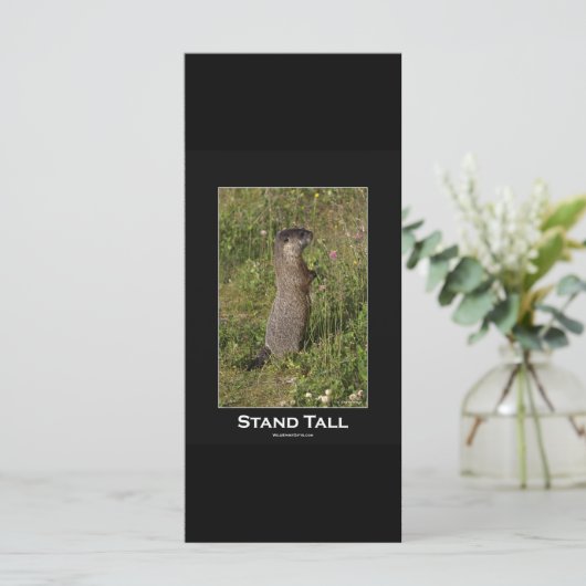 Stand Tall Marmot Card (Standing Front)
