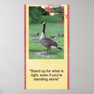 Stand up for what is right poster