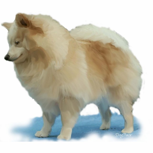Stand-up Pomeranian (Front)