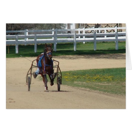 Standarbred Cards (Front Horizontal)