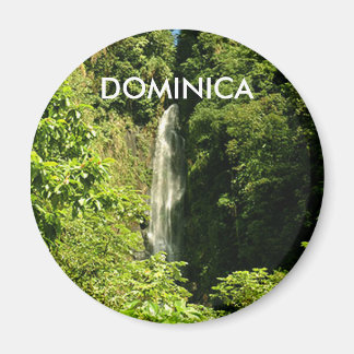 Standard, 2¼ Inch Round Magnet