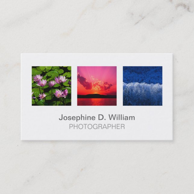 Standard 3 photo or logo white gray modern chic business card (Front)