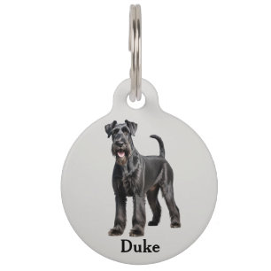 Standard (Giant) Schnauzer Personalize Pet ID Tag