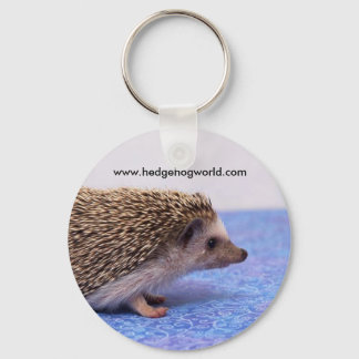standard keychain