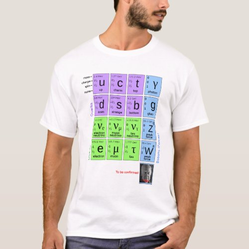Standard Model Of Elementary Particles with Higgs T_Shirt