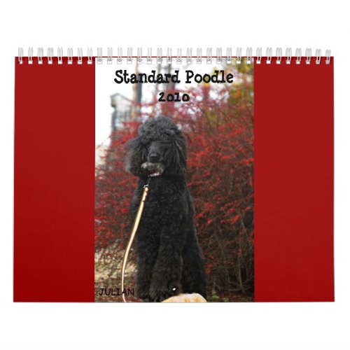 Standard Poodle 2010 Calendar