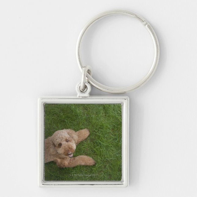 standard poodle 2 keychain (Front)
