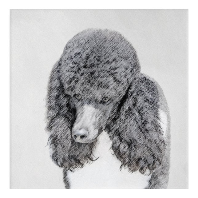 Standard Poodle Black Parti Painting - Dog Art (Front)