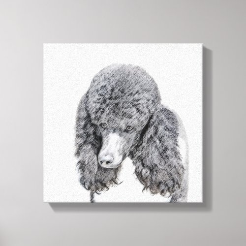 Standard Poodle Black Parti Painting _ Dog Art Canvas Print