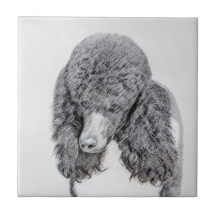 Standard Poodle Black Parti Painting - Dog Art Ceramic Tile