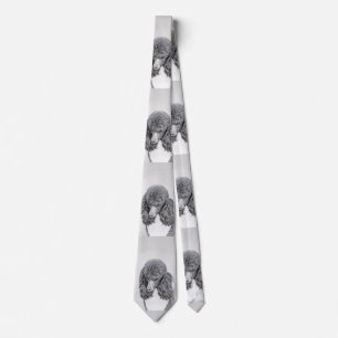 Standard Poodle Black Parti Painting - Dog Art Neck Tie