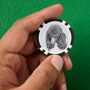 Standard Poodle Black Parti Painting - Dog Art Poker Chips