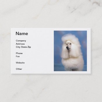 Standard Poodle Business Cards by walkandbark at Zazzle