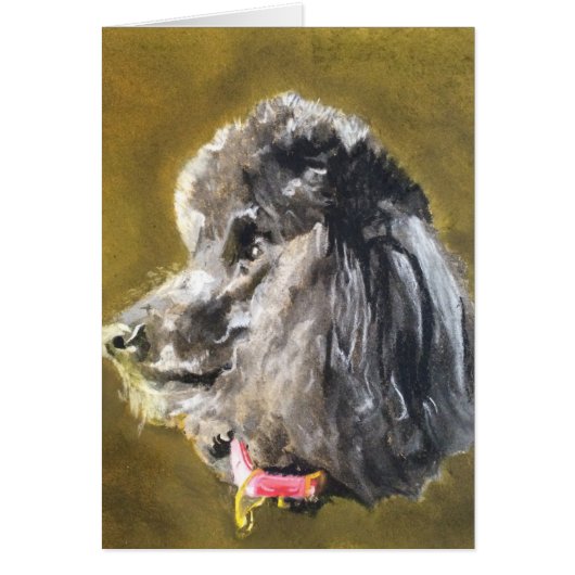 Standard Poodle Cards (Front)