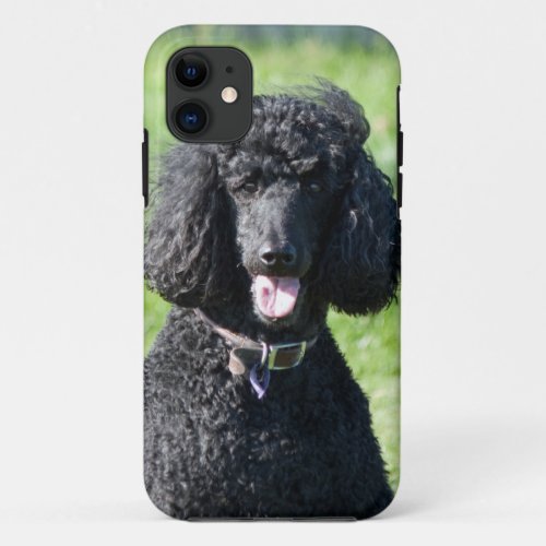 Standard Poodle dog black beautiful photo portrait iPhone 11 Case