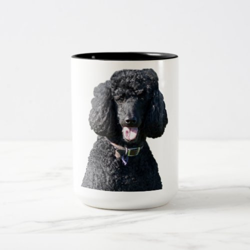 Standard Poodle dog black beautiful photo portrait Two_Tone Coffee Mug