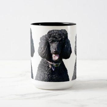 Standard Poodle Dog Black Beautiful Photo Portrait Two-tone Coffee Mug by roughcollie at Zazzle