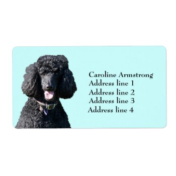 Standard Poodle Dog Black  Custom Address Labels by roughcollie at Zazzle