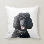 Standard Poodle dog black photo cushion pillow<br><div class="desc">Beautiful photo of a black standard poodle dog cushion,  pillow.  great gift idea</div>