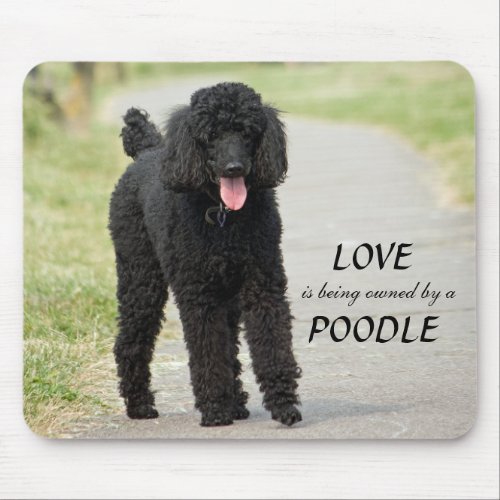 Standard Poodle dog black photo mousepad